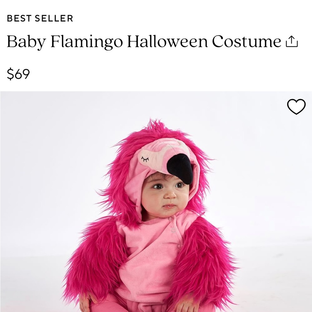 Pottery Barn Kids Hot Pink Flamingo Hooded Costume